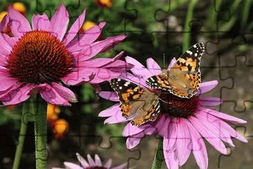 fleurs et papillons jigsaw puzzle