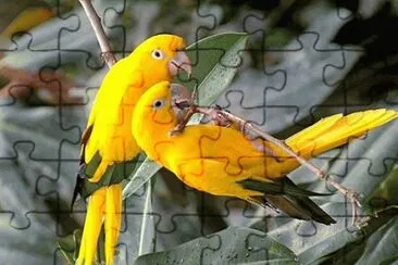 - brasil,(2014) jigsaw puzzle