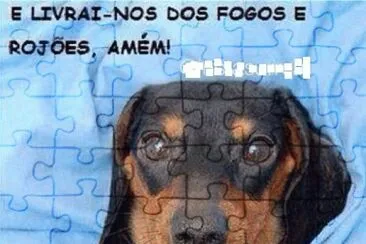 - chico..