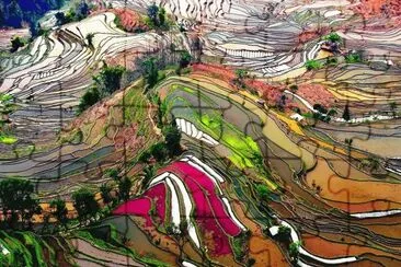 rice mountain
