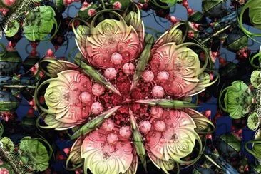 The last Blossom