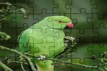 . jigsaw puzzle