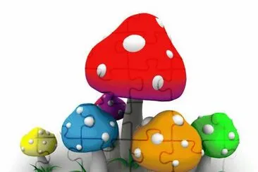 Cogumelos