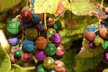 uvas jigsaw puzzle