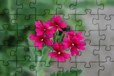  jigsaw puzzle