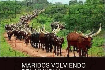 HUMOR JAROCHO. jigsaw puzzle