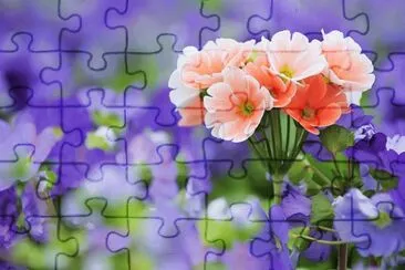 primevere jigsaw puzzle