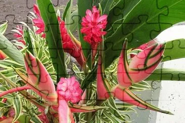 bouquet jigsaw puzzle
