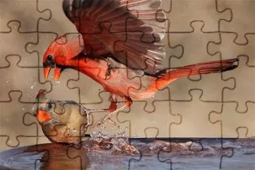 CÃRDENALES EN PLEITO jigsaw puzzle