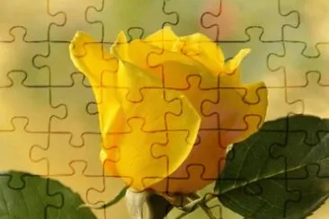 199 jigsaw puzzle