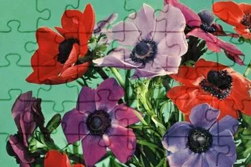 Anemonas