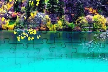 summer- 54 jigsaw puzzle