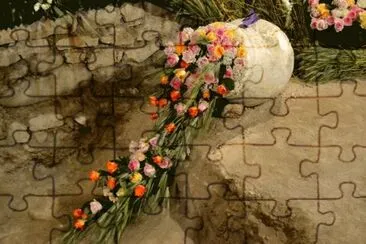 Temps de Flors 2014