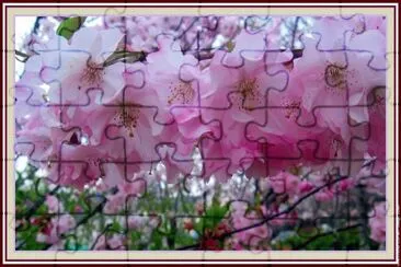 fleurs jigsaw puzzle