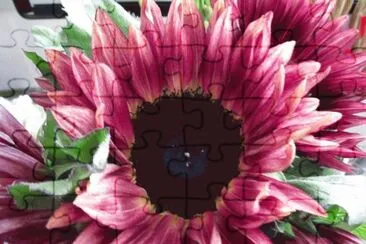 fleurs: tournesol jigsaw puzzle