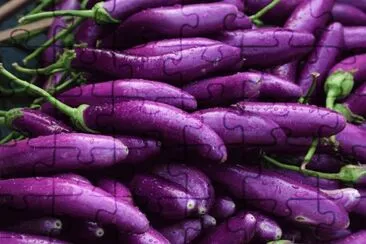 Eggplants  Myanmar jigsaw puzzle