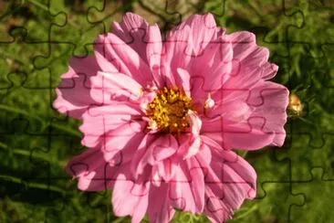 cosmos jigsaw puzzle
