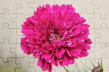 cosmos jigsaw puzzle