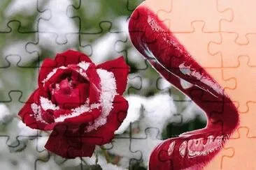 Rose and Lips