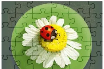 image jigsaw puzzle