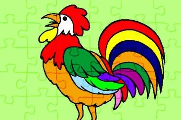 Galo colorido