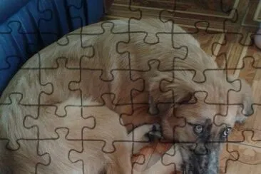 A.Estefania jigsaw puzzle