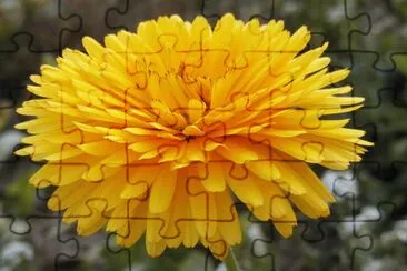 souci jigsaw puzzle