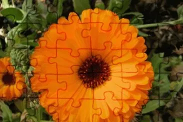souci jigsaw puzzle