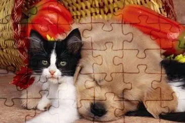 Amics jigsaw puzzle