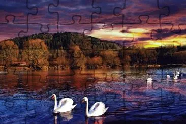 - chic,(d) jigsaw puzzle