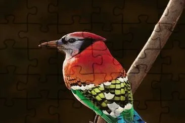 . jigsaw puzzle