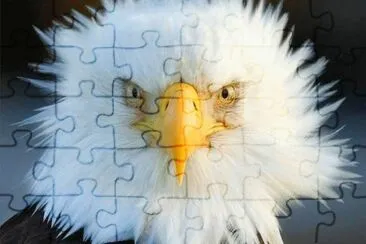 . jigsaw puzzle