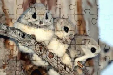 . jigsaw puzzle