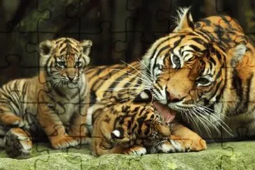 . jigsaw puzzle