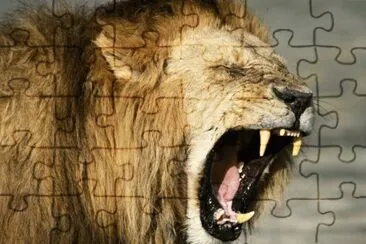 . jigsaw puzzle