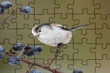 . jigsaw puzzle