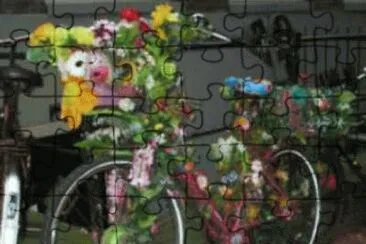 velo fleuri