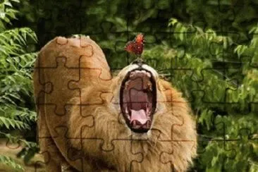 - leÃ£o,(i)