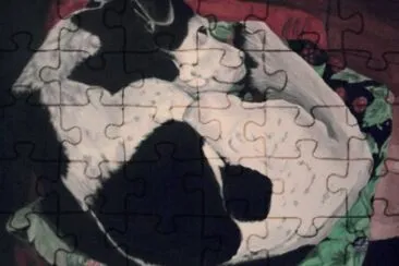 dante jigsaw puzzle