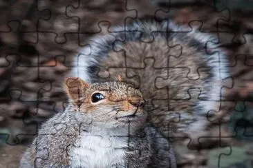 . jigsaw puzzle