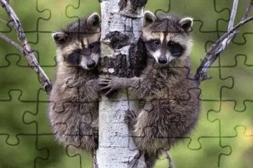 . jigsaw puzzle