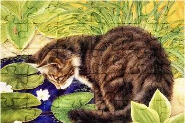 Pintura