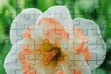 narcisse jigsaw puzzle