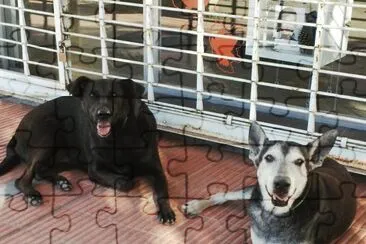 CHULO Y NEGRITA