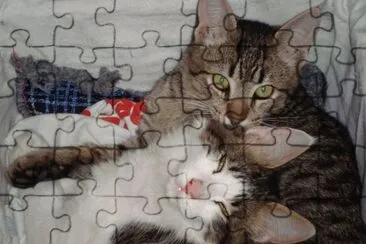 INDIO Y POPI JUGANDO jigsaw puzzle