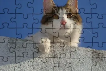 INDIO EN EL TECHO jigsaw puzzle