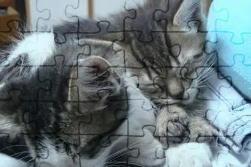 INDIO Y POPI DURMIENDO jigsaw puzzle