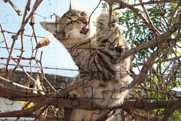 POPI EN LA PARRA jigsaw puzzle