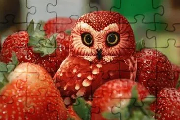 StrOWLberry jigsaw puzzle