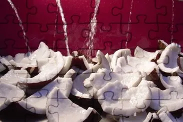 Cocos jigsaw puzzle